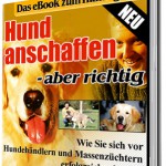 baninana_cover_hund